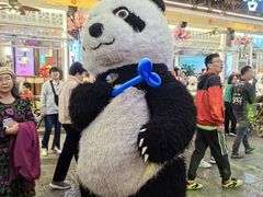 -喜鹊音乐酒馆(西街店)