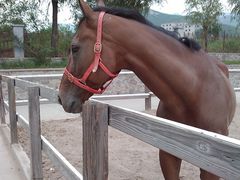 -北京长城阳光山谷马术俱乐部