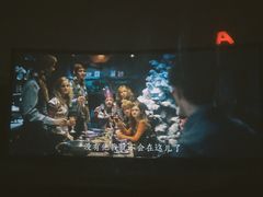 -枫花园汽车电影院(朝阳公园店)