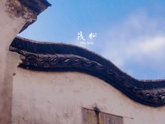 -乌镇景区