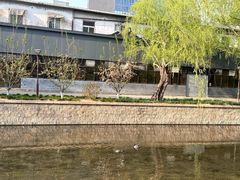 -元大都城垣遗址公园