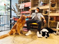 -熊小胖宠物生活馆(天华园店)