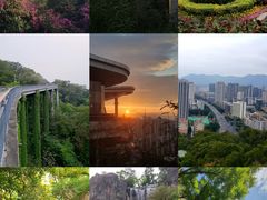 -金鸡山公园