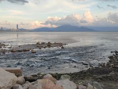 -深圳湾公园(南山区)