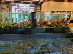 水产区-小榄人家酒楼(民安店)