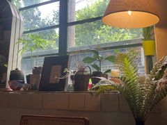 -樹下遇见树·咖啡