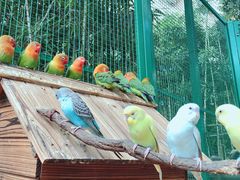 -杭州开元森泊度假乐园