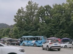 -都江堰中华大熊猫苑