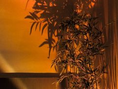 -宁采臣Sleep·采耳·SPA放松馆(湖里万达店)