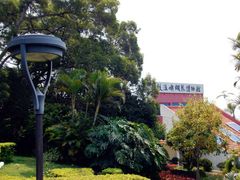 -鼓浪屿钢琴博物馆