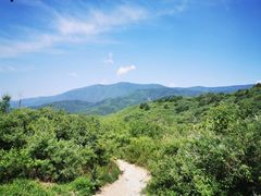 -北京西山国家森林公园