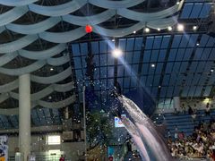 -合肥海洋世界