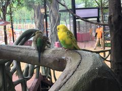 -广州融创文旅城