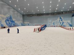 -哈尔滨热雪奇迹