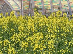 -中国天府农业博览园