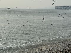 -银沙滩浴场