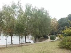 -天鹅湖体育公园