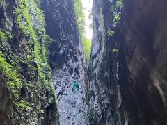 -武陵山森林公园