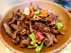 -龙小海荆沙鸽子店(瑞安街店)