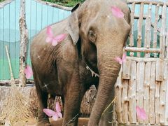 景点-大连森林动物园