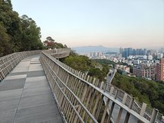 -福道