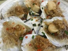 扇贝-7fresh七鲜(大族广场店)