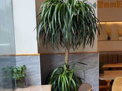 -宋益驴蹄子面肉夹馍(辛家庙店)