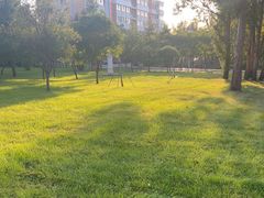 -长春世界雕塑园冰雪艺术天地