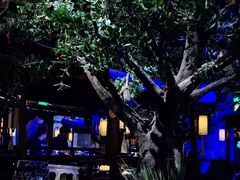 -绿茶餐厅(乐峰广场店)