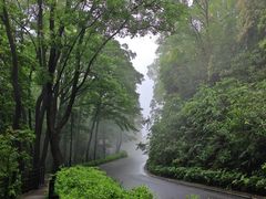 -广州市帽峰山景区