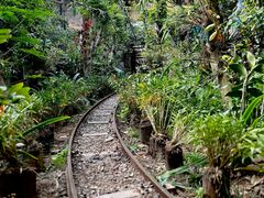 -呀路古热带植物园