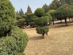 -北京世界公园