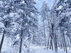 -雪谷
