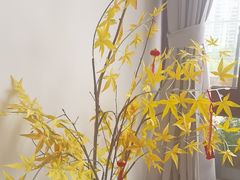 -小茶闲舍·观景商务茶馆(广州塔店)