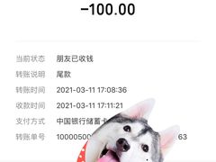 -花邻FloweringLife花艺气球派对(武康大楼店)