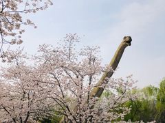-自然谷恐龙园