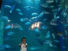 -成都浩海立方海洋公园