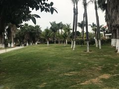 -鼓浪屿内厝澳码头(轮渡站)
