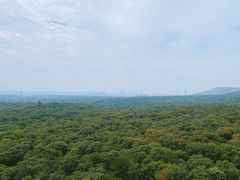 -灵谷景区