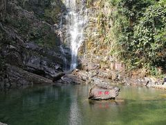 -鼎湖山风景区