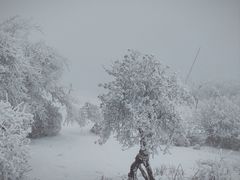 -太子岭滑雪场