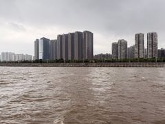 -观澳平台