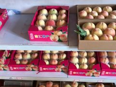 -南汇新场正宗水蜜桃采摘