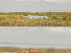 -七的湖·晚芳亭·阳澄湖农家菜·大闸蟹(莲花岛店)