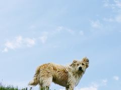 -黄河九曲第一湾