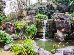 -广州神农草堂中医药博物馆