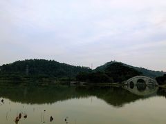 -顺峰山公园