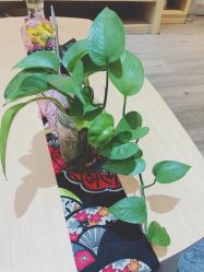 -觅屿日式脱毛美肤