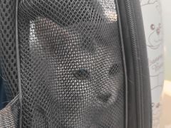 -纳吉亚猫专科动物诊疗中心(蒋宅口分院)