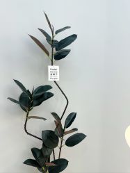 -久匠纹眉·半永久纹绣
